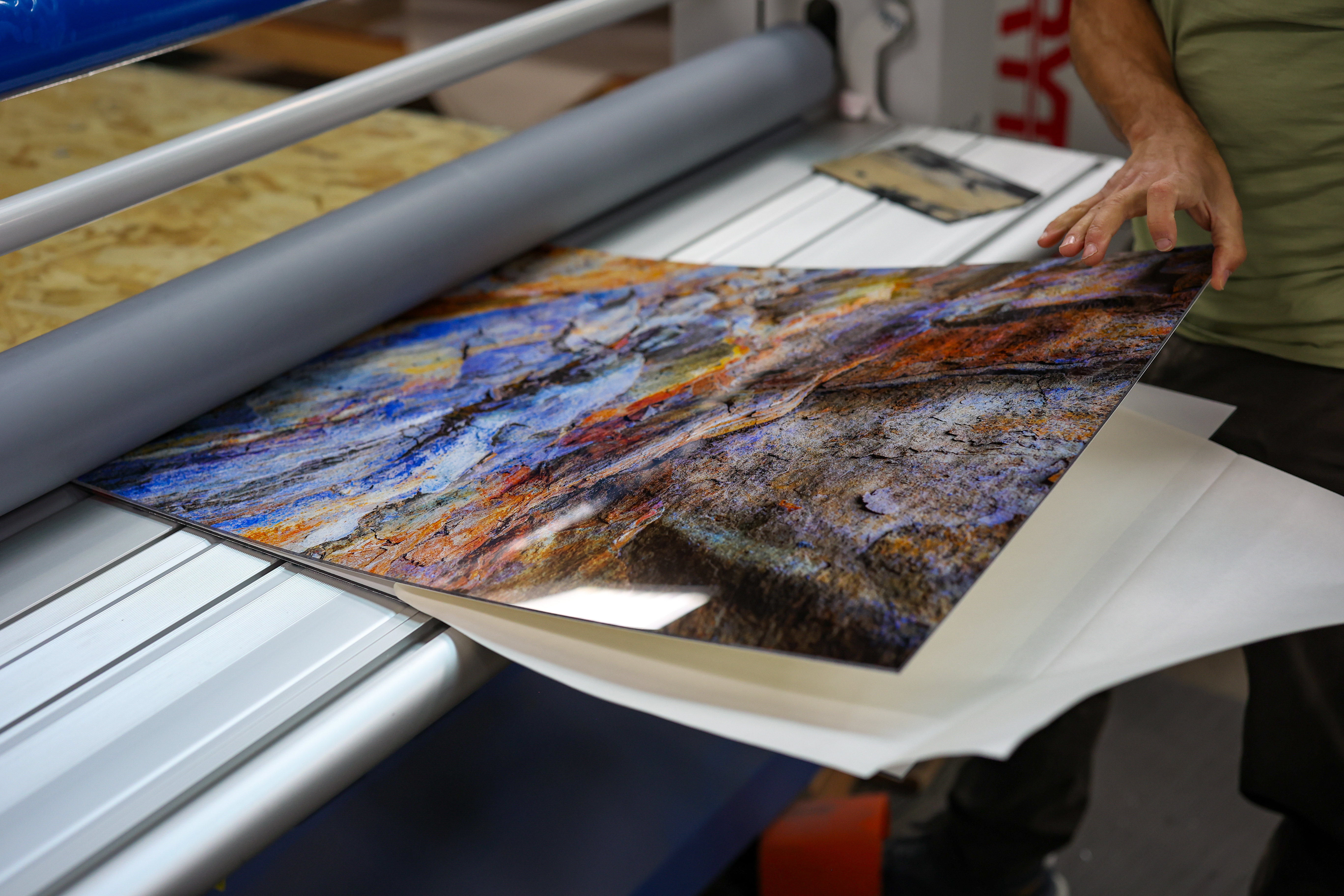 Bumblejax Fine Art Prints